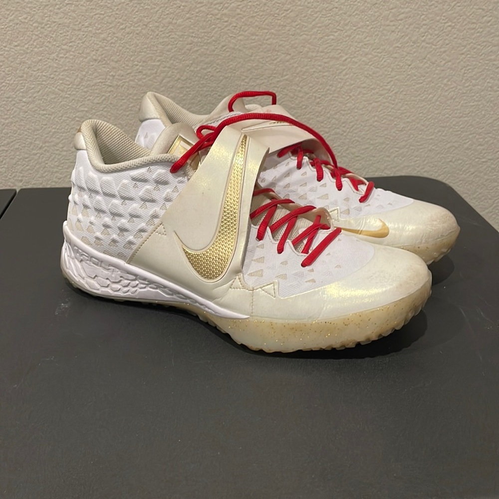 Nike Bsbl Trout Turf shoe